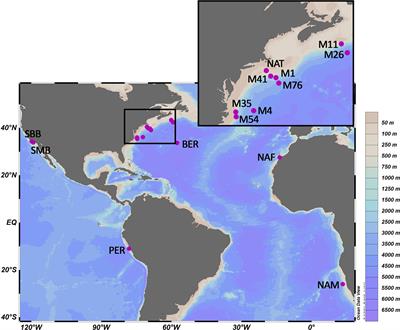 Grain size controls on long-chain diol distributions and proxy signals in marine sediments